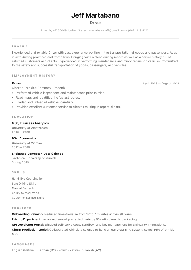 Berlin resume template preview