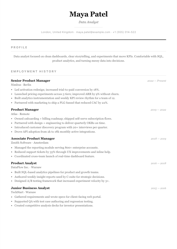 Dublin resume template preview