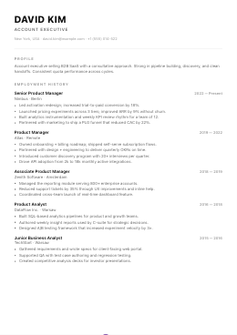 Milan resume template preview