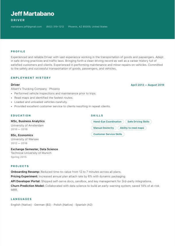 Brussels resume template preview