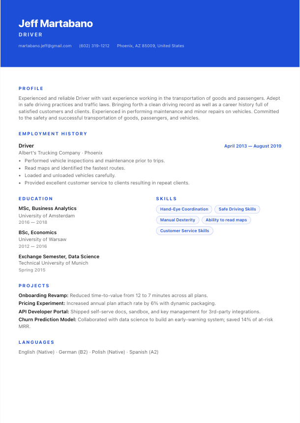 Stockholm resume template preview