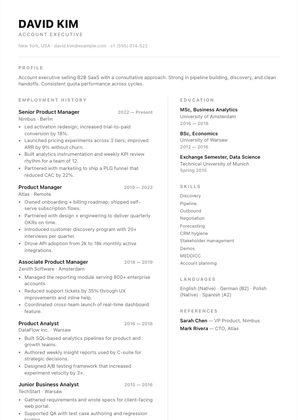 Vienna resume template preview