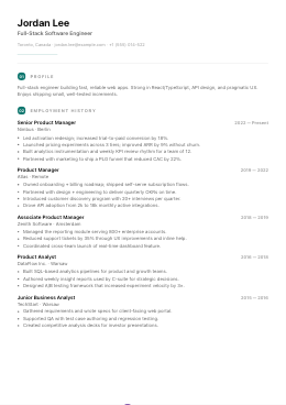 Lyon resume template preview